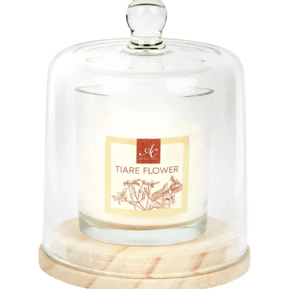 Absolu Chic Geurkaars In Stolp