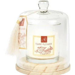 Absolu Chic Geurkaars In Stolp