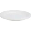 Borden Van Bagasse
