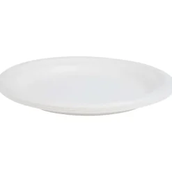 Borden Van Bagasse