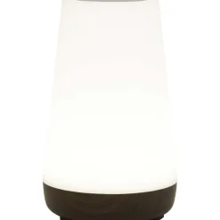Deluxa Touch Lamp