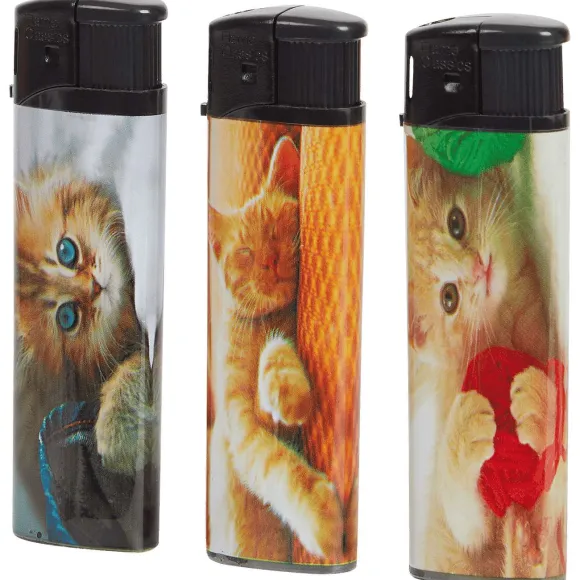 Elektrische Aanstekers