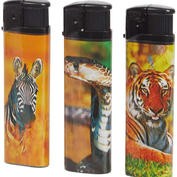 Elektrische Aanstekers