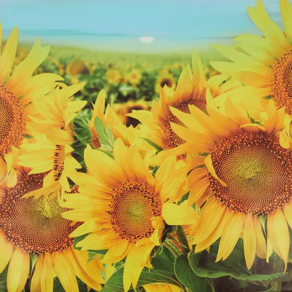 Garden Collection Tuindoek