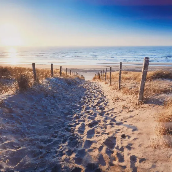 Garden Collection Tuindoek