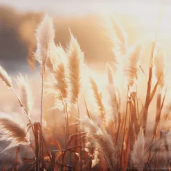 Garden Collection Tuindoek