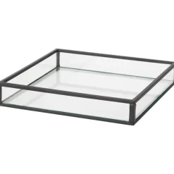 Glazen Tray