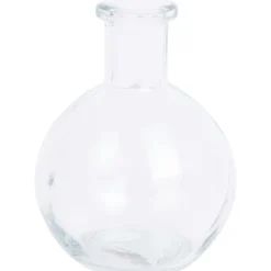 Glazen Vaasje Voor Stekjes