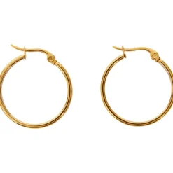 Gold Plated Oorbellen