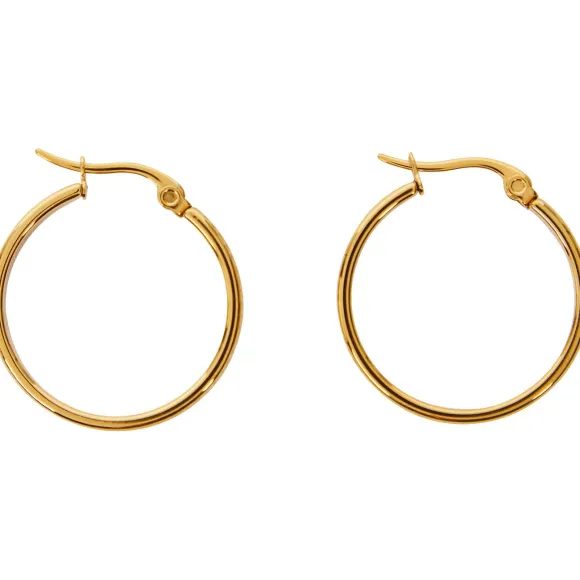 Gold Plated Oorbellen