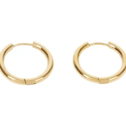 Gold Plated Oorbellen