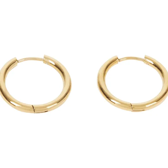 Gold Plated Oorbellen