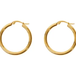 Gold Plated Oorbellen