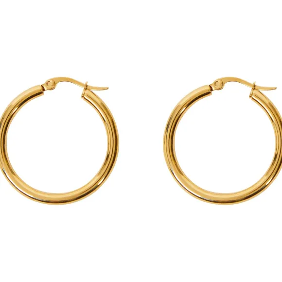 Gold Plated Oorbellen