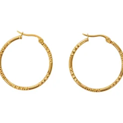 Gold Plated Oorbellen