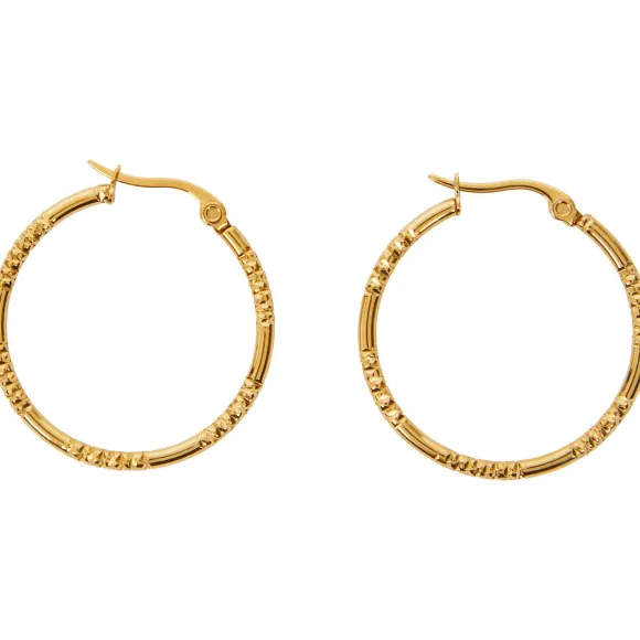 Gold Plated Oorbellen