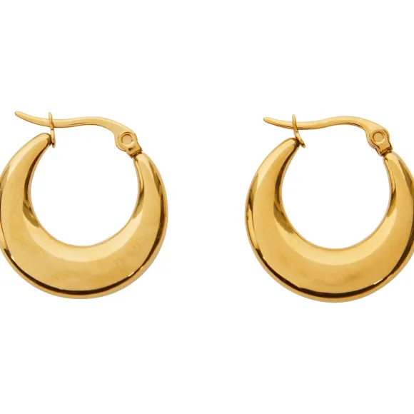 Gold Plated Oorbellen