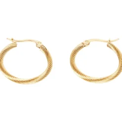 Gold Plated Oorbellen