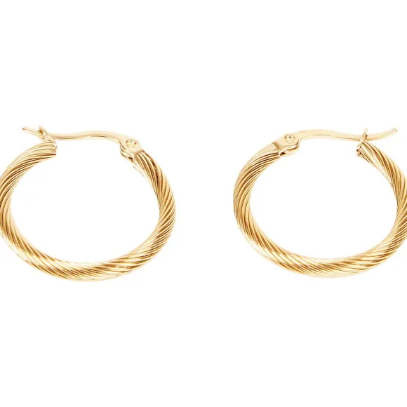 Gold Plated Oorbellen