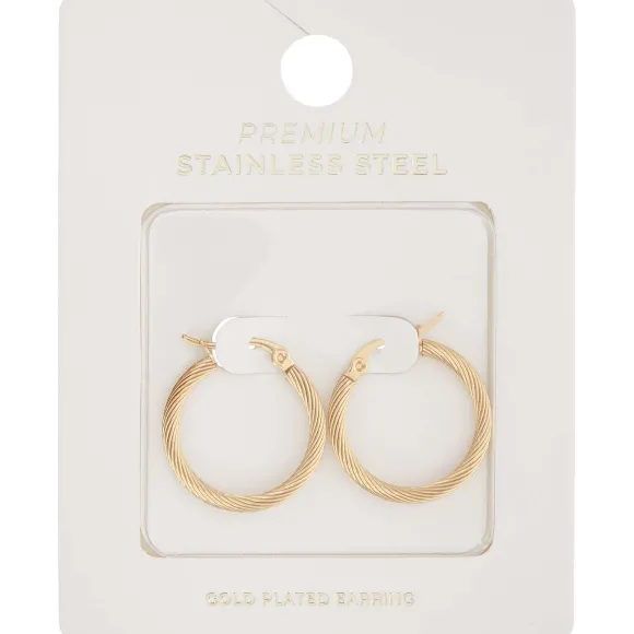 Gold Plated Oorbellen