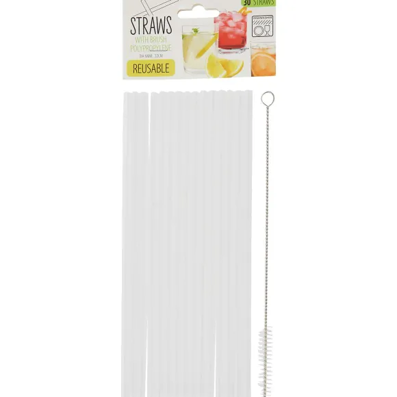 Herbruikbare Rietjes Met Schoonmaakborstel