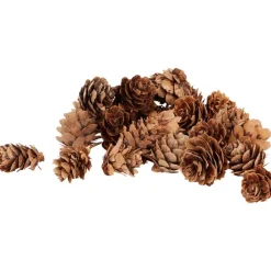 Home Accents Decoratiemateriaal