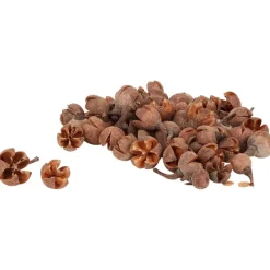 Home Accents Decoratiemateriaal