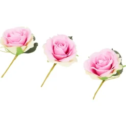 Home Accents Decoratierozen