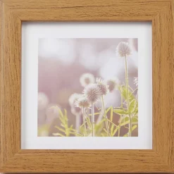 Home Accents Fotolijst