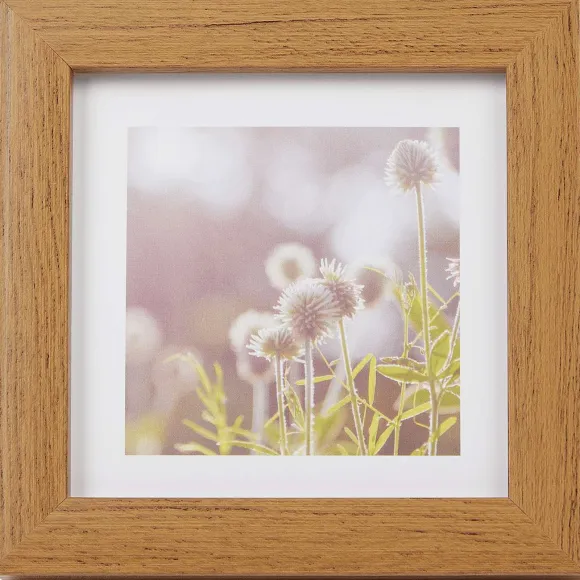 Home Accents Fotolijst