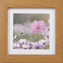 Home Accents Fotolijst