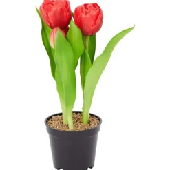 Home Accents Kunsttulpen In Pot