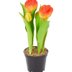 Home Accents Kunsttulpen In Pot