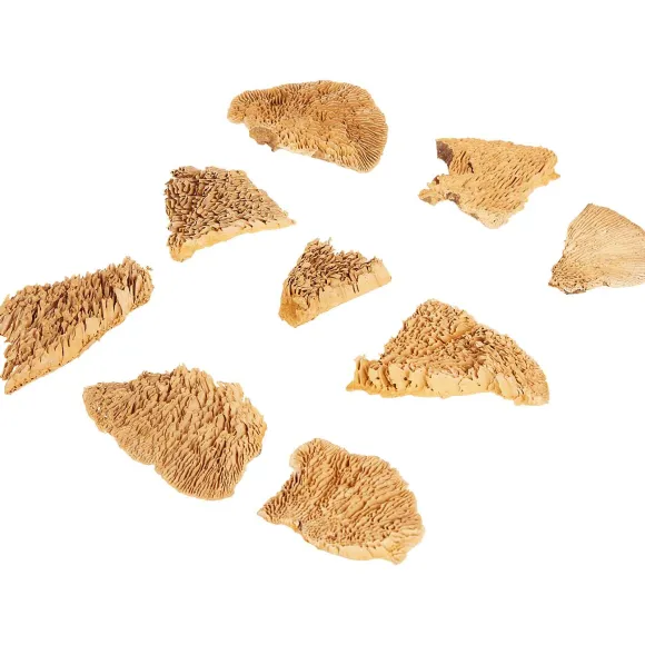 Home Accents Natural Droogmix