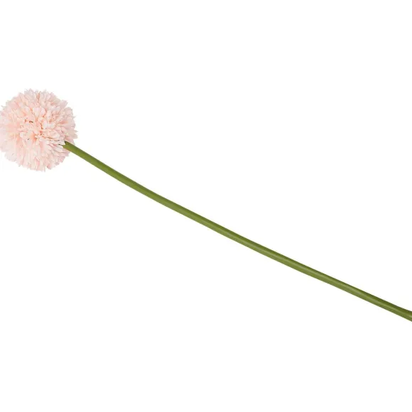 Kunstallium Op Steel