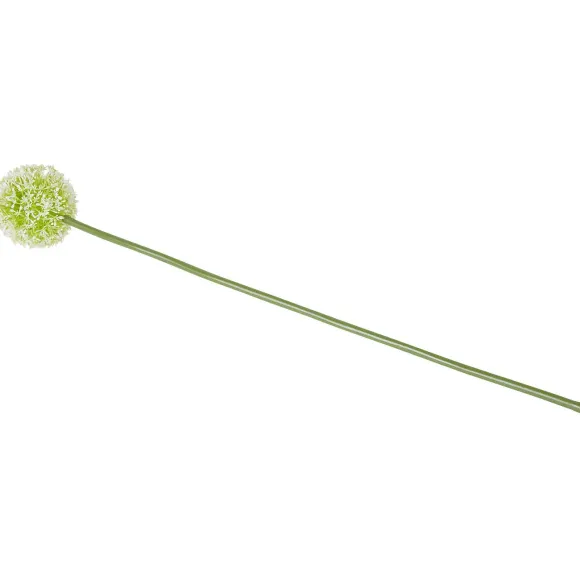 Kunstallium Op Steel