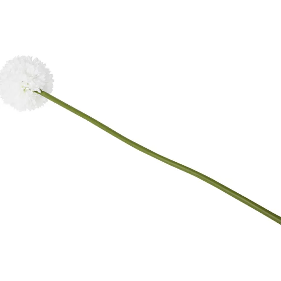 Kunstallium Op Steel