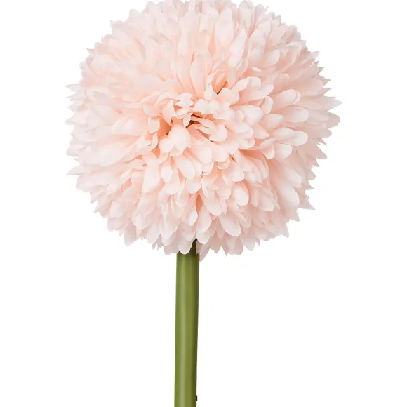 Kunstallium Op Steel