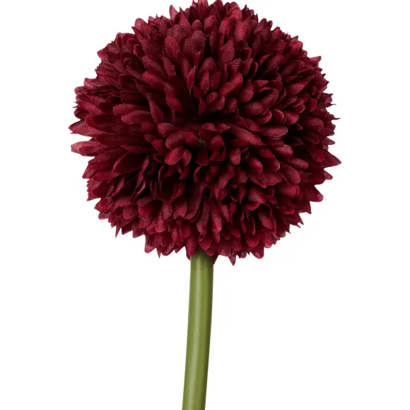 Kunstallium Op Steel