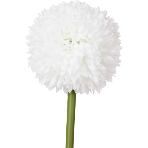 Kunstallium Op Steel