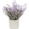 Kunstlavendel In Pot