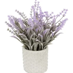 Kunstlavendel In Pot