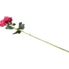 Kunstpioenroos Op Steel