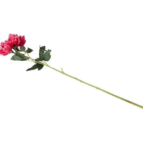 Kunstpioenroos Op Steel