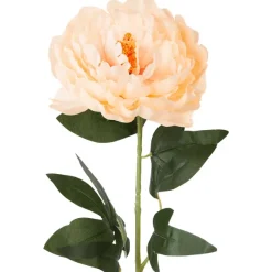 Kunstpioenroos Op Steel