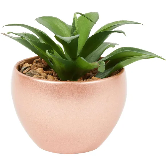 Kunstvetplant In Pot
