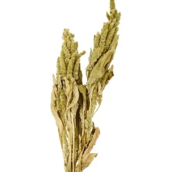 Nederlandse Droog Kunstbloemen