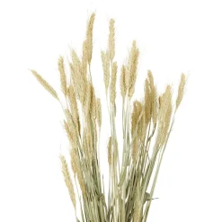 Nederlandse Droog Kunstbloemen