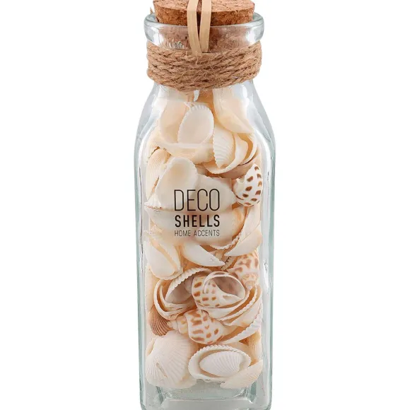 Schelpen In Glazen Fles