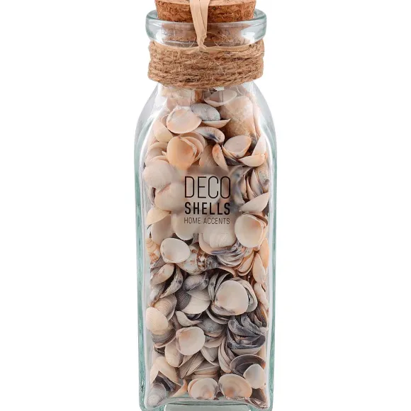 Schelpen In Glazen Fles